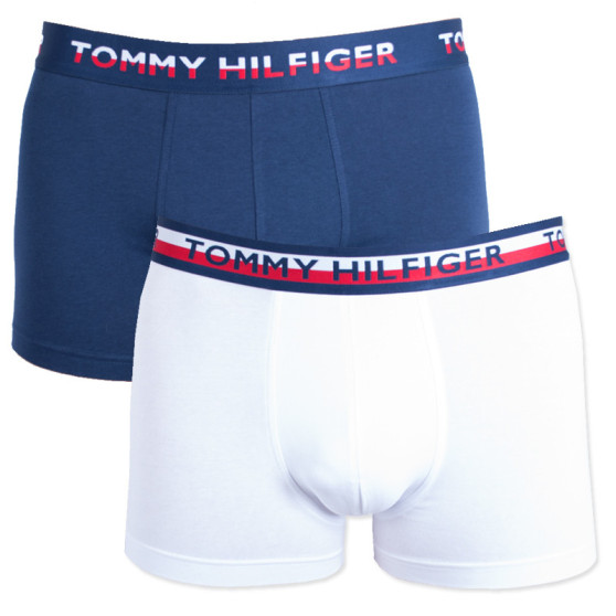 2PACK bokserki męskie Tommy Hilfiger wielokolorowe (UM0UM00746 222)