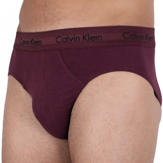 3PACK slipy męskie Calvin Klein wielokolorowe (U2661G-RSZ)