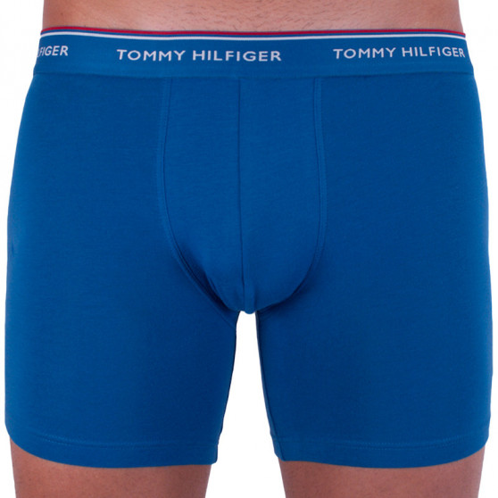 3PACK bokserki męskie Tommy Hilfiger wielokolorowe (UM0UM00010 071)