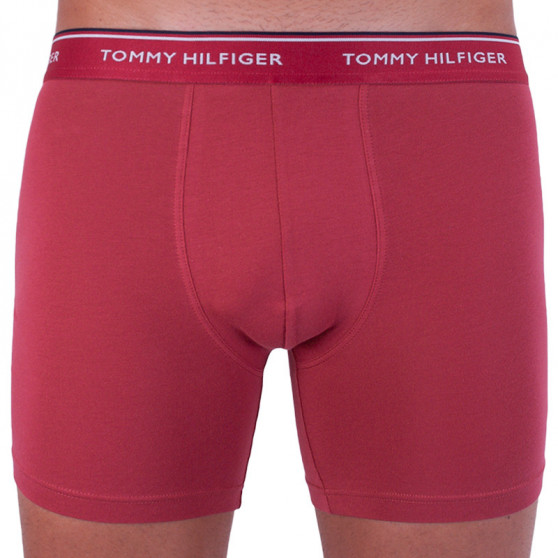 3PACK bokserki męskie Tommy Hilfiger wielokolorowe (UM0UM00010 071)