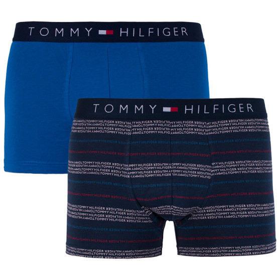 2PACK bokserki męskie Tommy Hilfiger wielokolorowe (UM0UM00945 047)