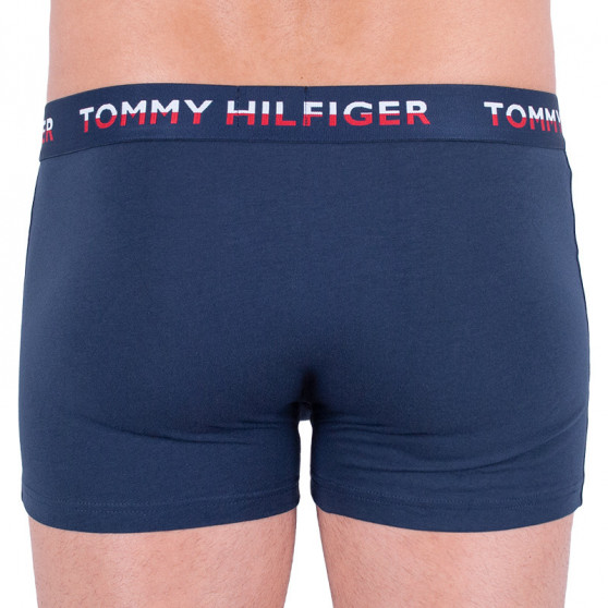 2PACK bokserki męskie Tommy Hilfiger wielokolorowe (UM0UM01233 054)