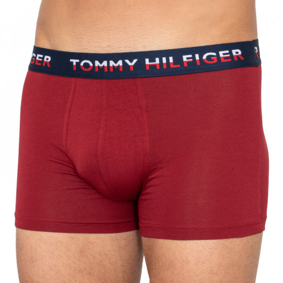 2PACK bokserki męskie Tommy Hilfiger wielokolorowe (UM0UM01233 582)