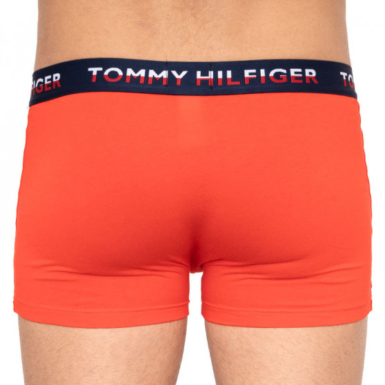 2PACK bokserki męskie Tommy Hilfiger wielokolorowe (UM0UM01233 021)