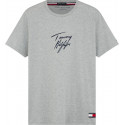 T-shirt męski Tommy Hilfiger szary (UM0UM01787 P6S)
