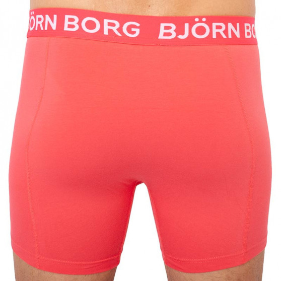 3PACK bokserki męskie Bjorn Borg wielokolorowe (1921-1504-70391)