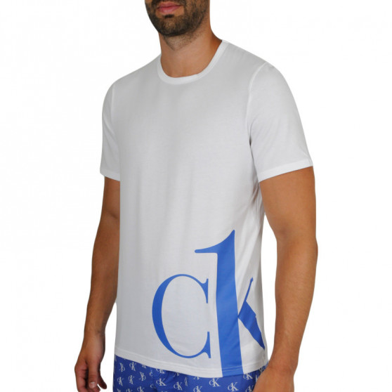 T-shirt męski Calvin Klein biały (NM1904E-KLO)