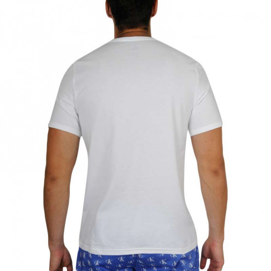 T-shirt męski Calvin Klein biały (NM1904E-KLO)