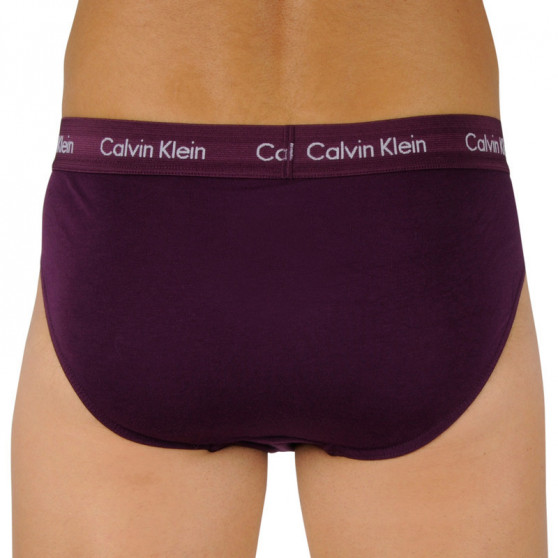 3PACK slipy męskie Calvin Klein wielokolorowe (U2661G-WHF)