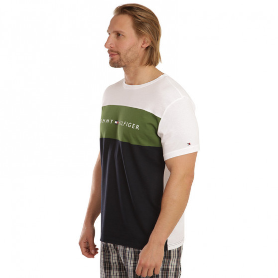 T-shirt męski Tommy Hilfiger wielokolorowy (UM0UM01170 MS1)