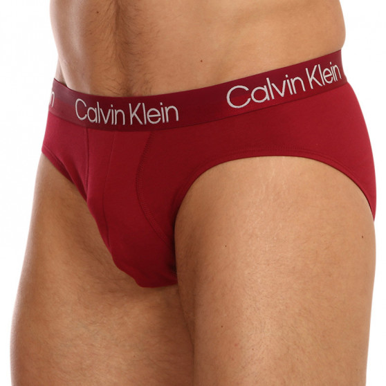 3PACK slipy męskie Calvin Klein wielokolorowe (NB2969A-UW7)