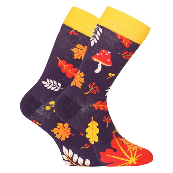 Happy Socks Dedoles Jesienny ślimak (D-U-SC-RS-C-C-1460)