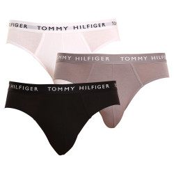 3PACK slipy męskie Tommy Hilfiger wielokolorowe (UM0UM02206 0TG)