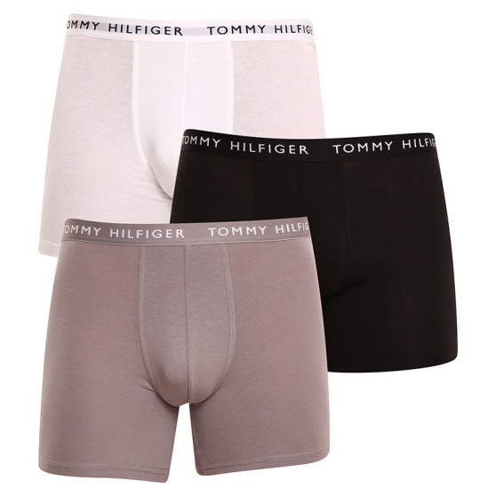 3PACK bokserki męskie Tommy Hilfiger wielokolorowe (UM0UM02204 0TG)