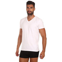 T-shirt męski Gant dekolt V biały (901911988-110)