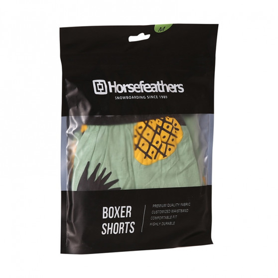 Bokserki męskieHorsefeathers Frazier pineapple (AM166D)