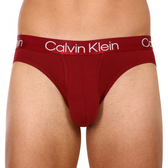 3PACK slipy męskie Calvin Klein wielokolorowe (NB2969A-6IN)