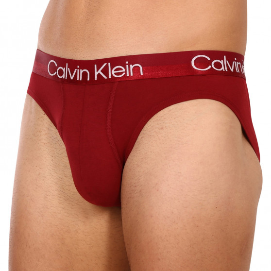 3PACK slipy męskie Calvin Klein wielokolorowe (NB2969A-6IN)