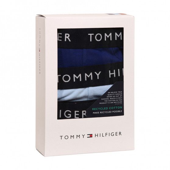 3PACK slipy męskie Tommy Hilfiger wielokolorowe (UM0UM02206 0SJ)