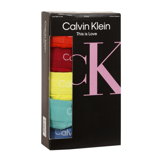 5PACK bokserki męskie Calvin Klein wielokolorowe (NB1348A-BNG)