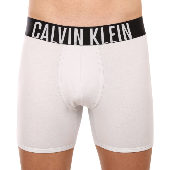 2PACK bokserki męskie Calvin Klein wielokolorowe (NB2603A-C2D)