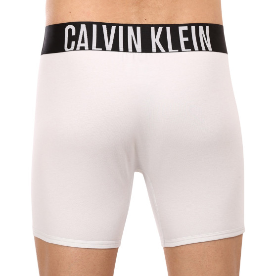 2PACK bokserki męskie Calvin Klein wielokolorowe (NB2603A-C2D)