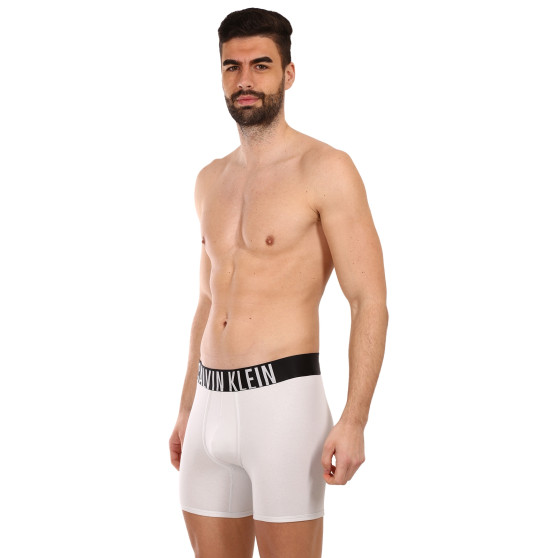 2PACK bokserki męskie Calvin Klein wielokolorowe (NB2603A-C2D)