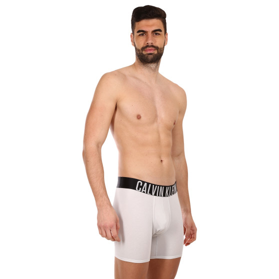 2PACK bokserki męskie Calvin Klein wielokolorowe (NB2603A-C2D)