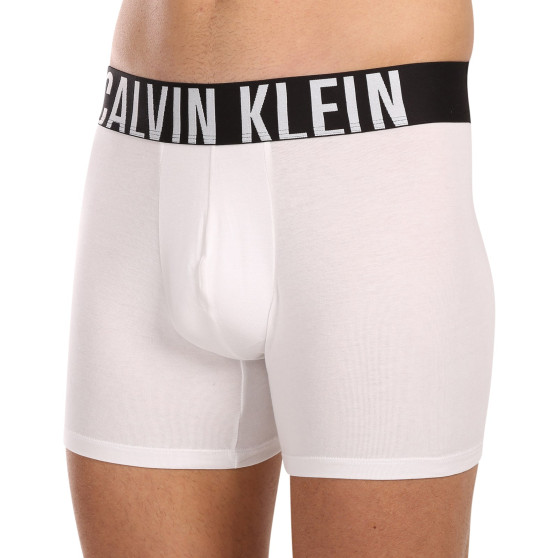 3PACK bokserki męskie Calvin Klein wielokolorowe (NB3609A-MP1)